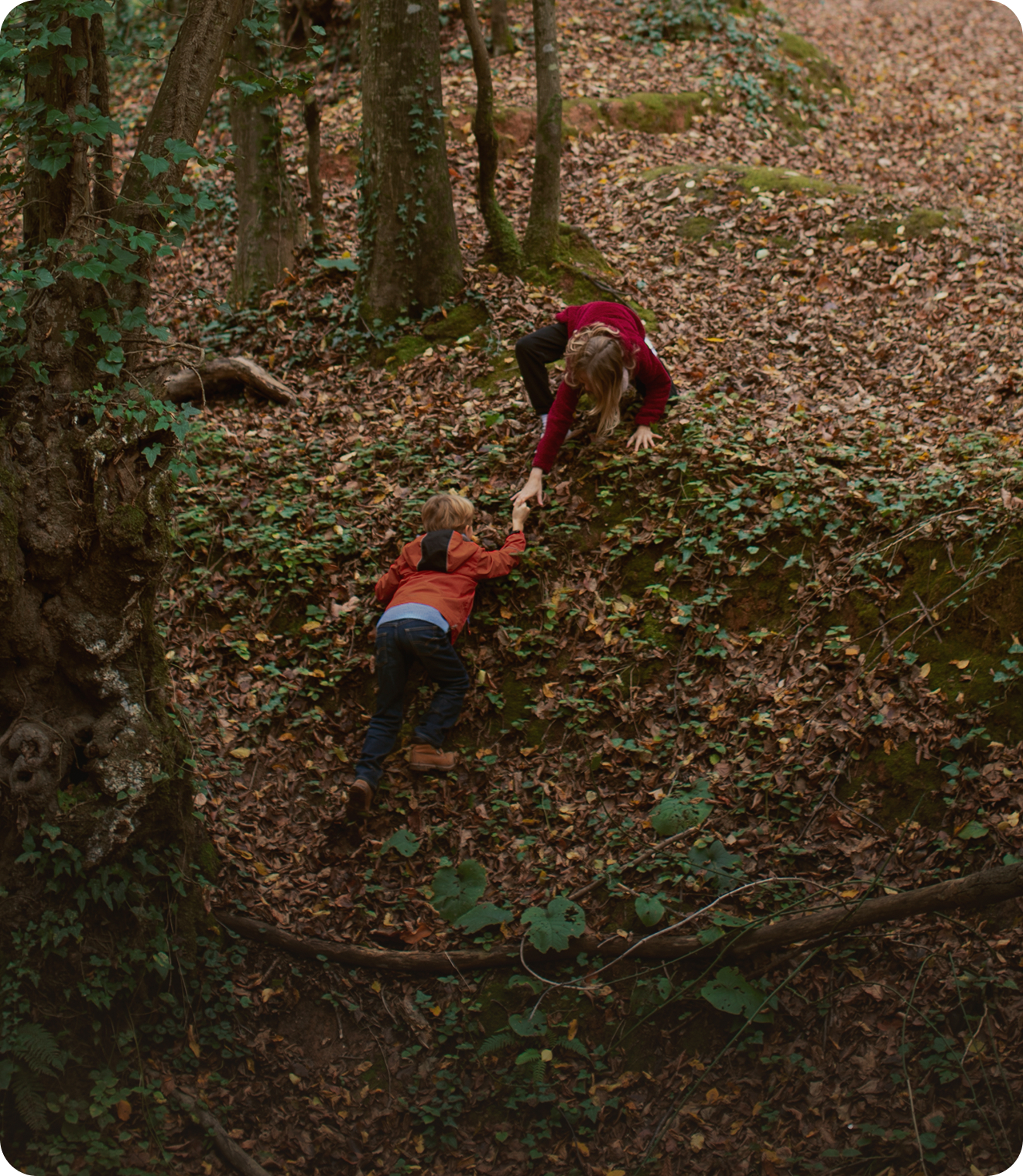 Hunter Responsibilities